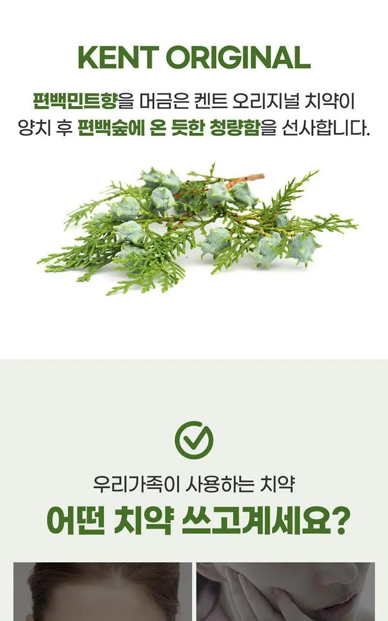 KENT 오리지널 치약 120g 상세페이지 3