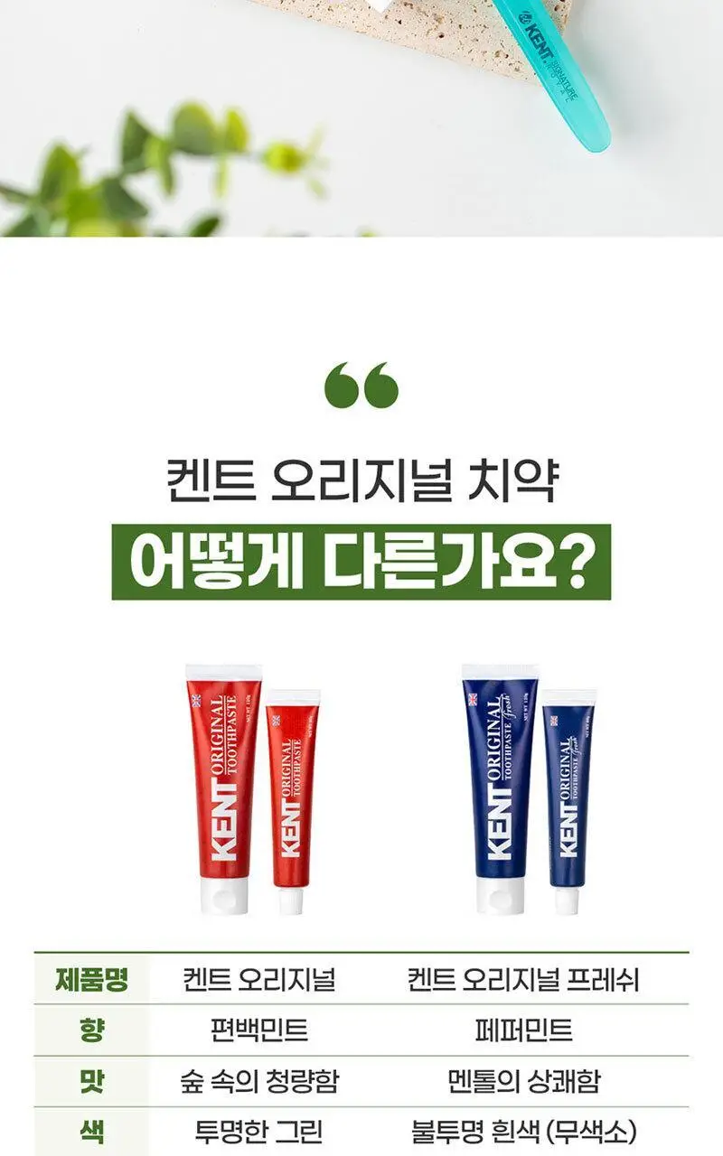 KENT 오리지널 치약 120g 상세페이지 19