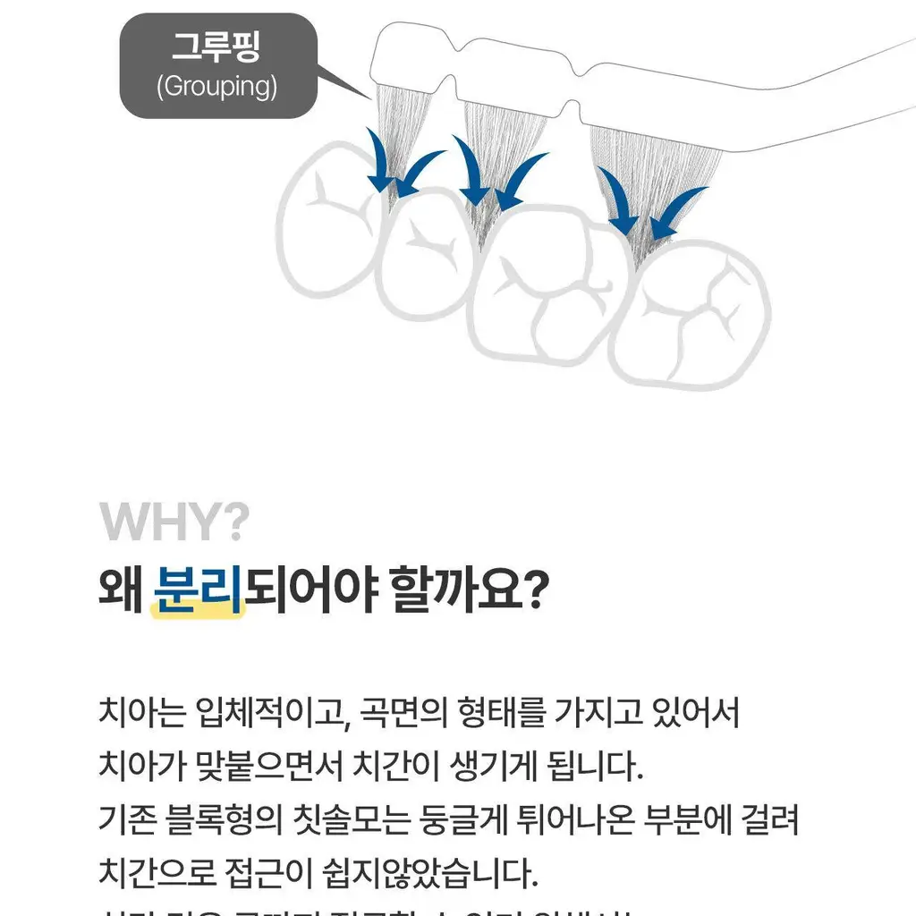 덴클 올인원케어 칫솔 1개입 상세페이지 14