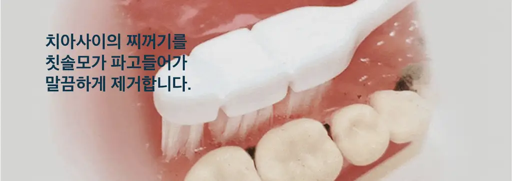 덴클 올인원케어 칫솔 1개입 상세페이지 19