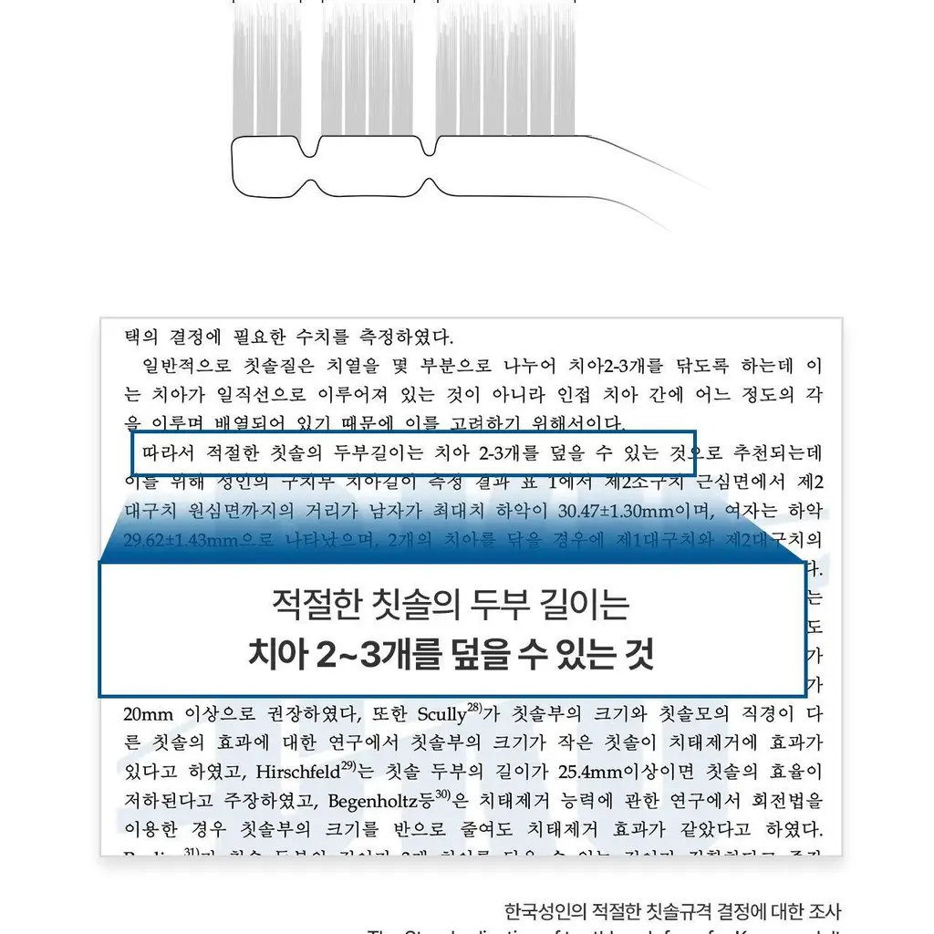덴클 올인원케어 칫솔 1개입 상세페이지 27