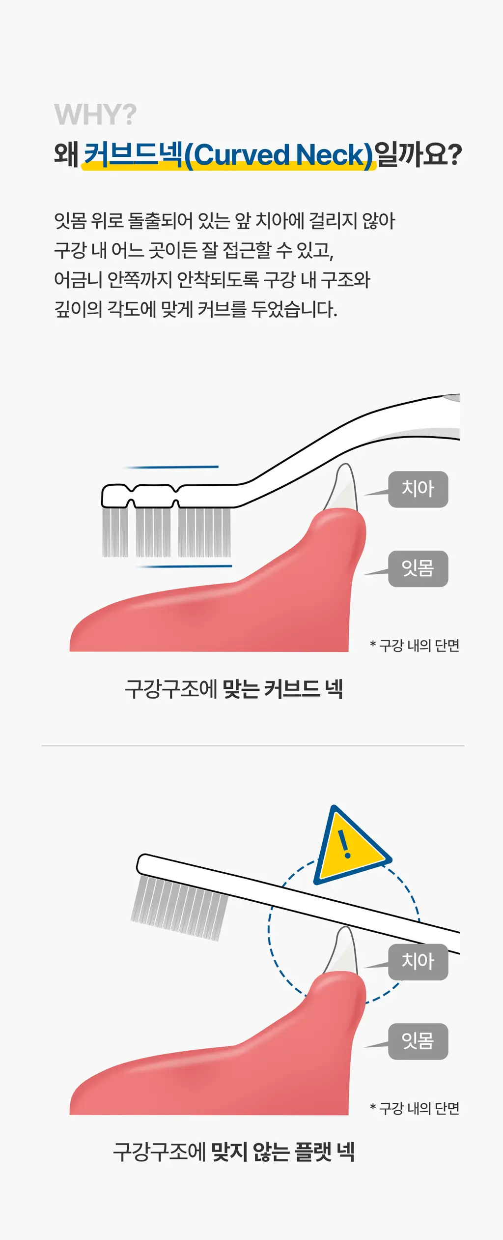덴클 올인원케어 칫솔 1개입 상세페이지 35