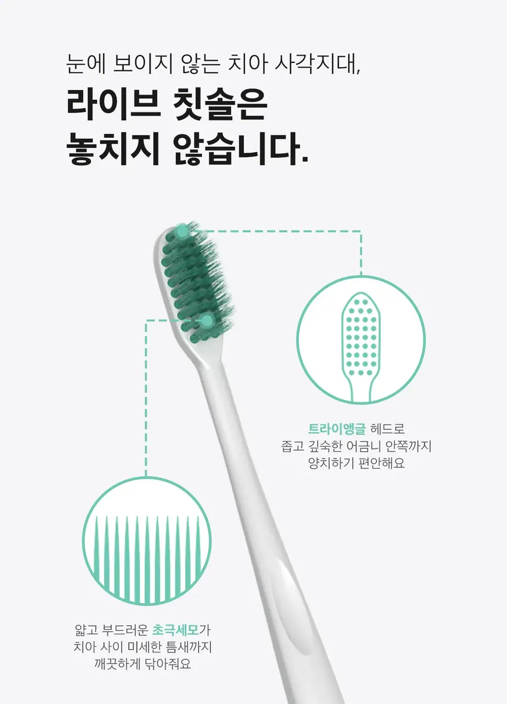 라이브오랄스 초극세모 칫솔 1개입 2종 택 1 상세페이지 9