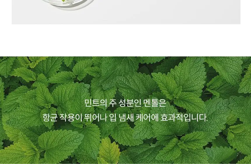 아쿠아픽 민트 치실 80개입 상세페이지 13