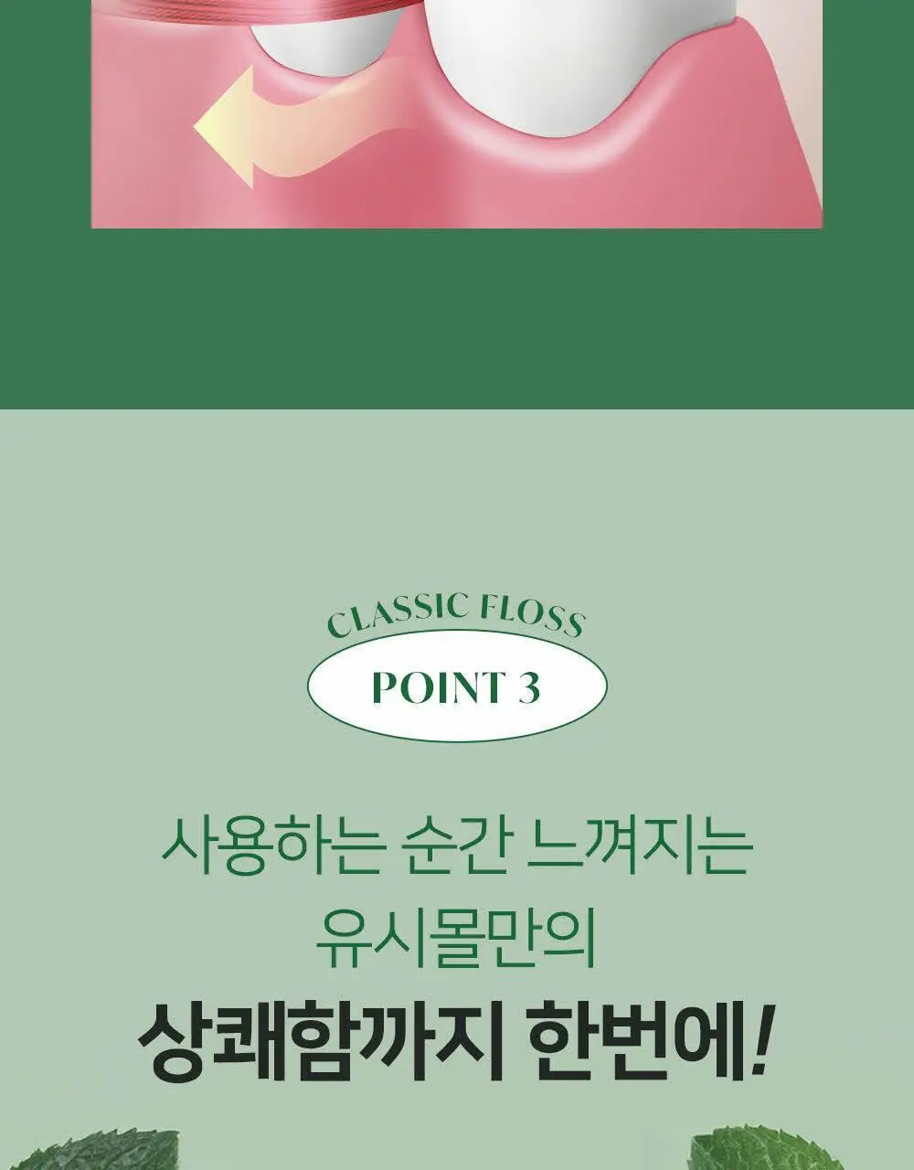 유시몰 클래식 롤 치실 50m 상세페이지 16