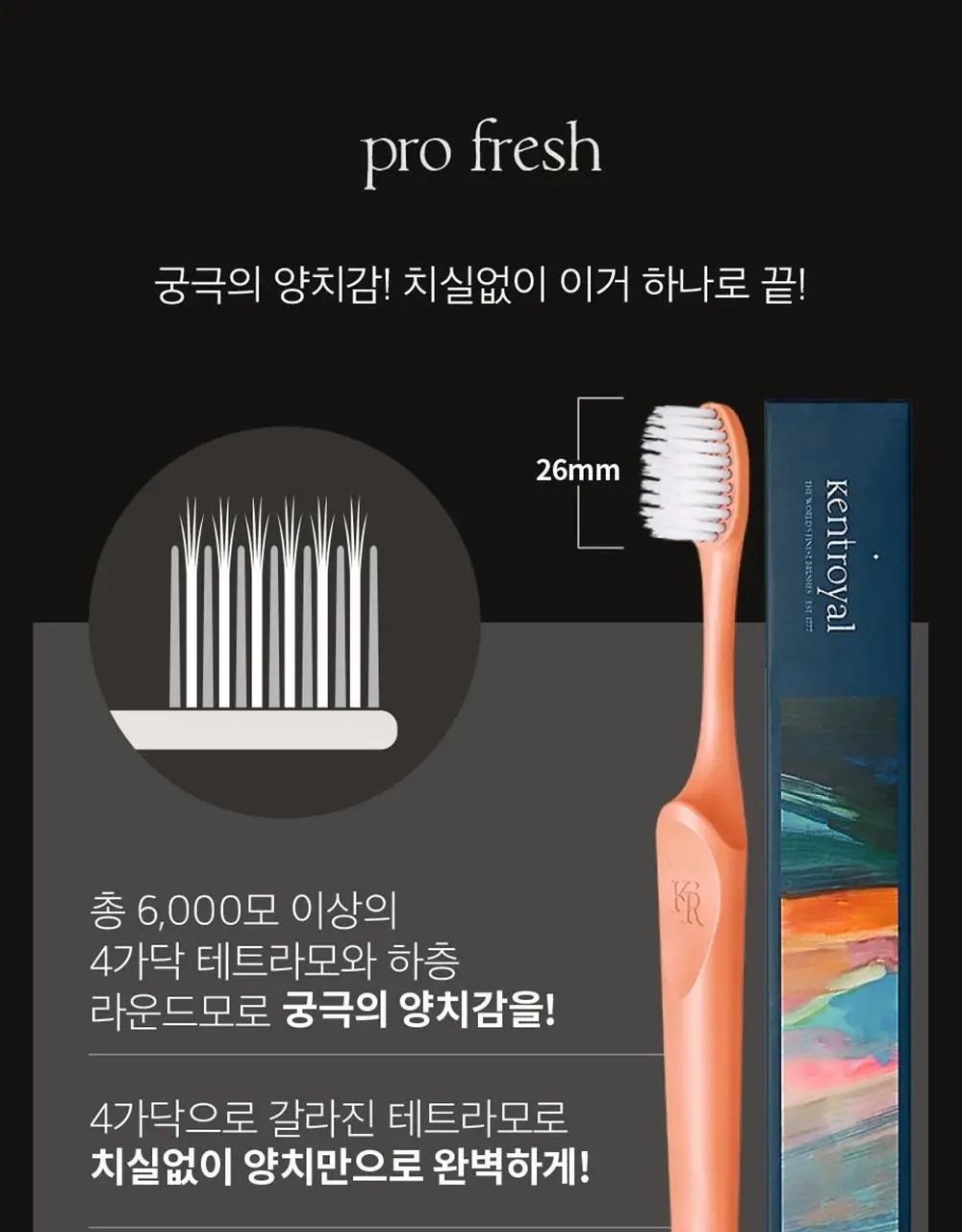 켄트로얄 프로 프레쉬 칫솔 12개입 상세페이지 19