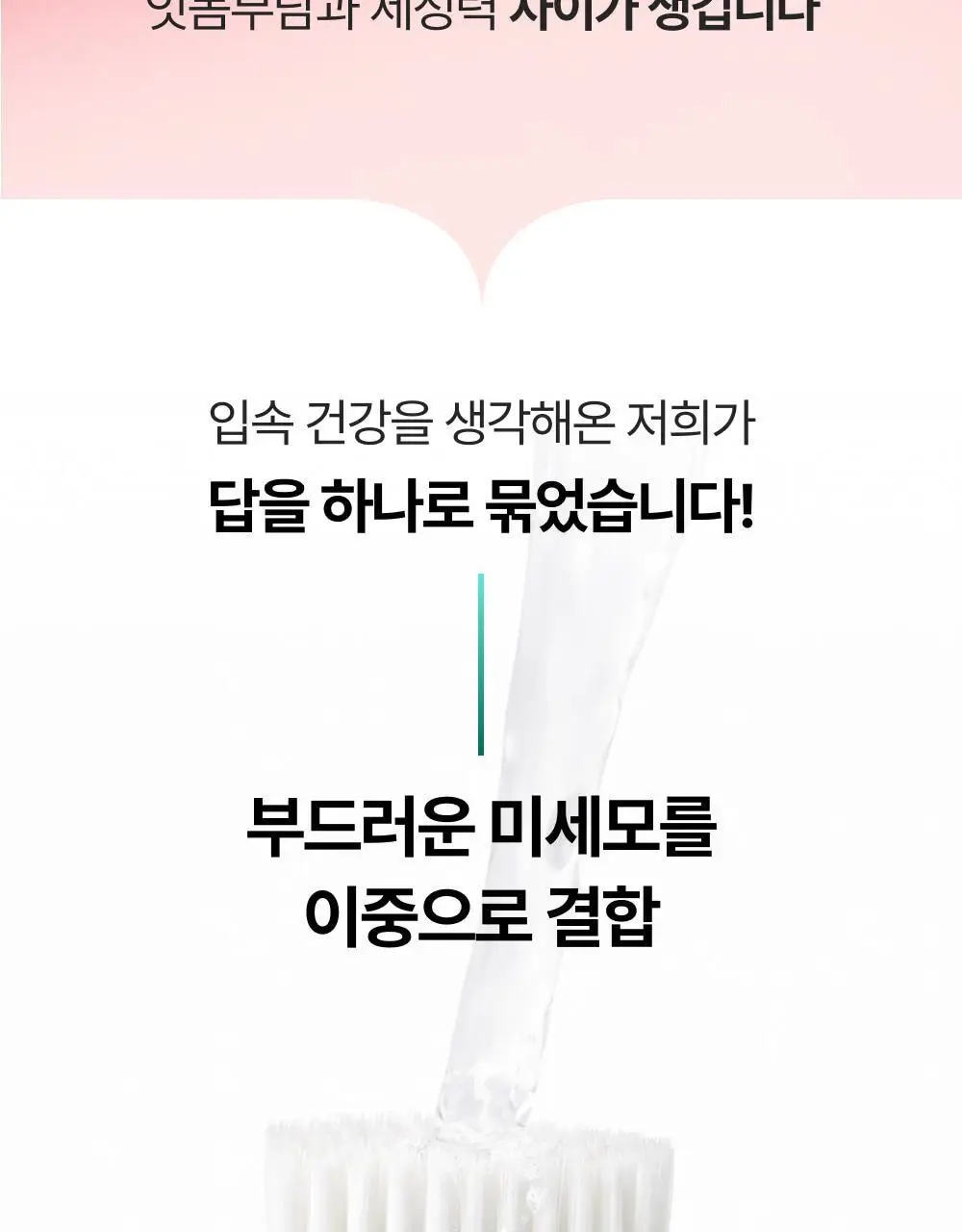 덴티스테 고급 이중 미세모 칫솔 상세페이지 4