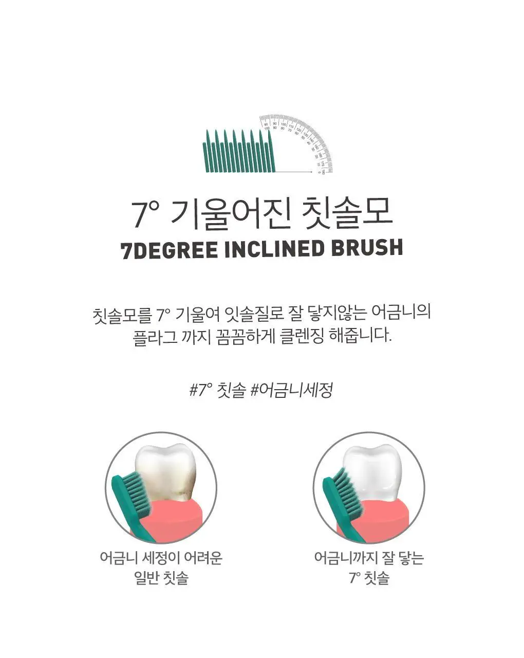 루치펠로 코랄리프 7도 칫솔 1개입 (색상랜덤) 상세페이지 6