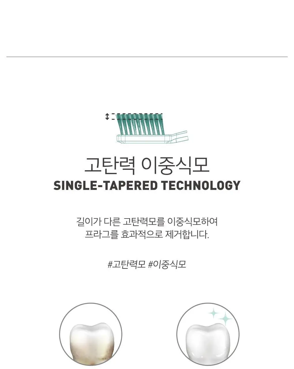 루치펠로 코랄리프 7도 칫솔 1개입 (색상랜덤) 상세페이지 8