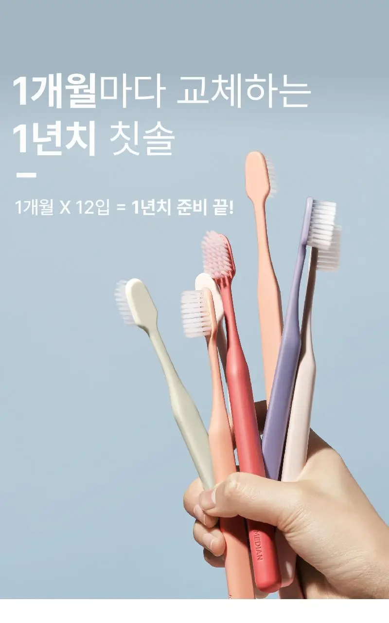메디안 365DAYS 성인용 칫솔 12입 상세페이지 2