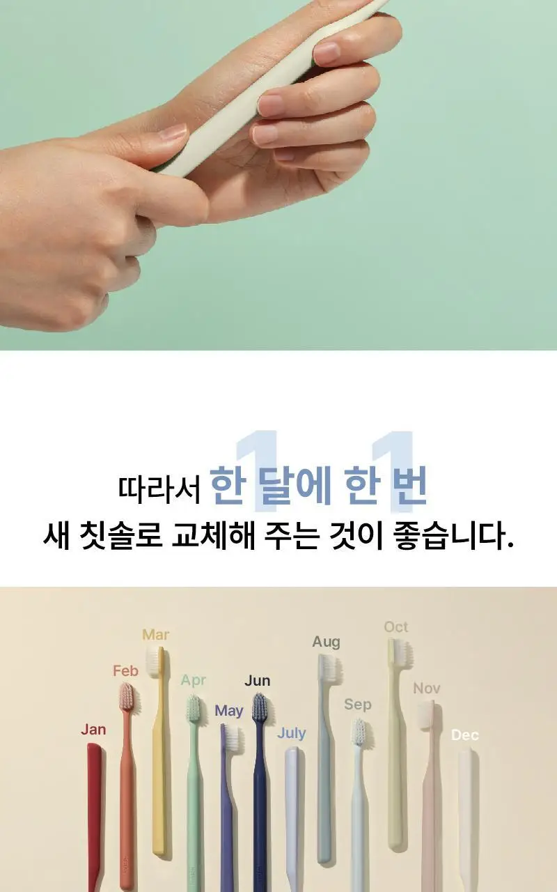 메디안 365DAYS 성인용 칫솔 12입 상세페이지 4