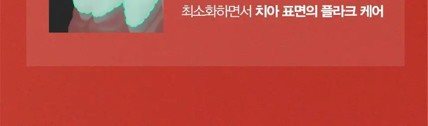 왕타 화이트모 칫솔 (색상 랜덤) 상세페이지 15