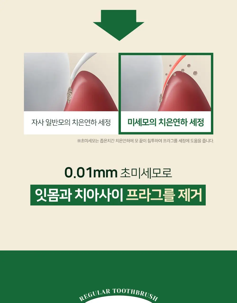 유시몰 레귤러 칫솔 2입 기획세트 상세페이지 7