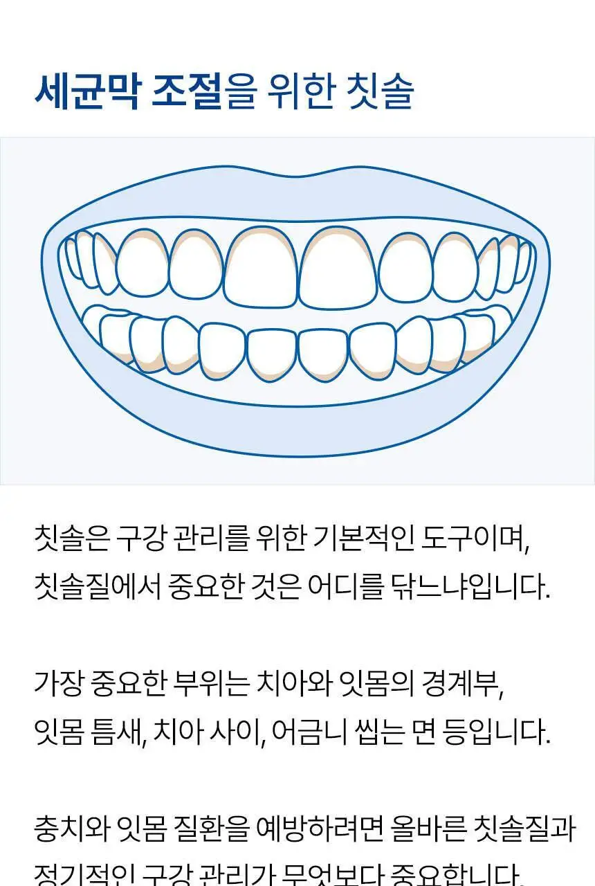 큐라덴 큐라프록스 CS3960 칫솔 상세페이지 5
