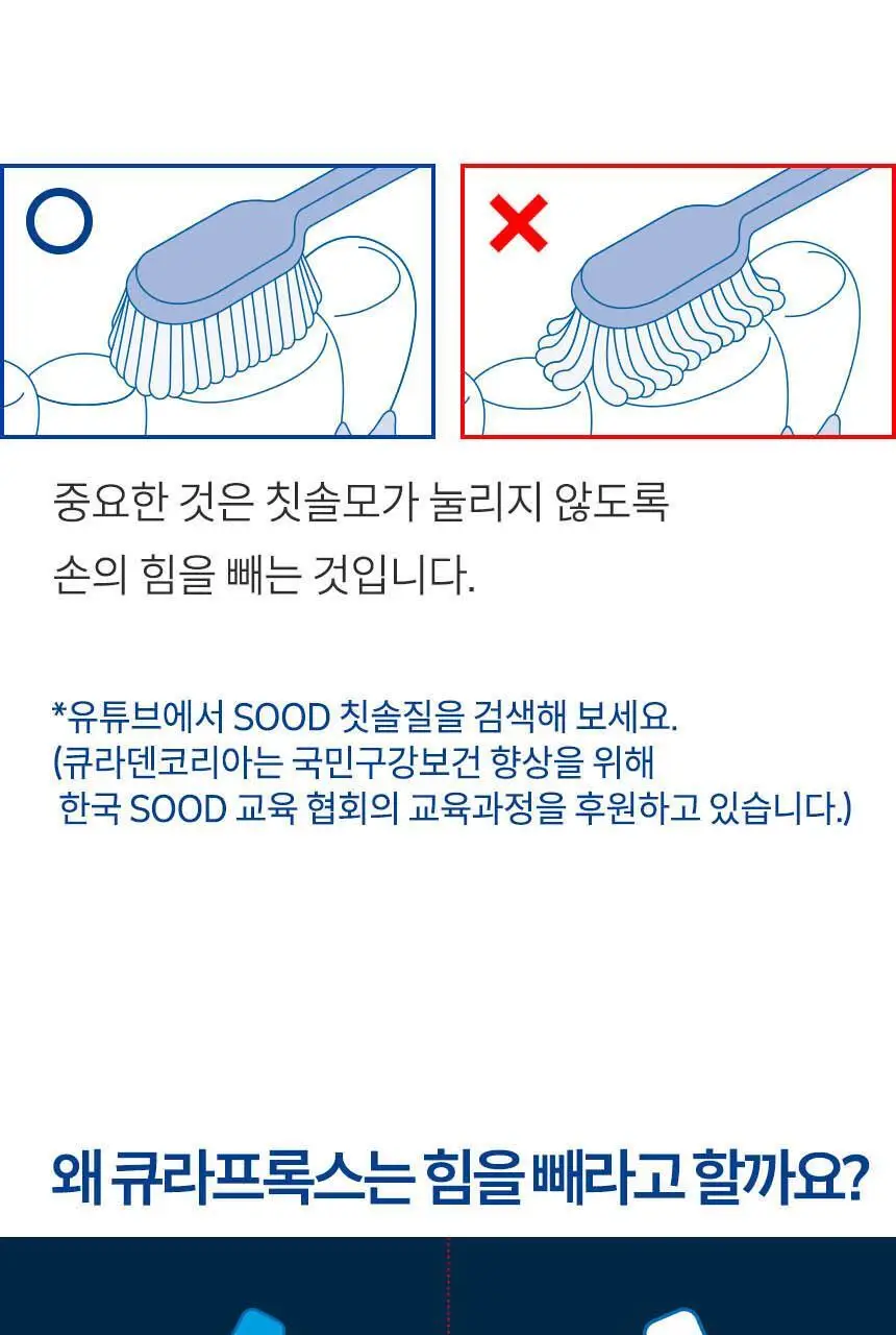 큐라덴 큐라프록스 CS3960 칫솔 상세페이지 22