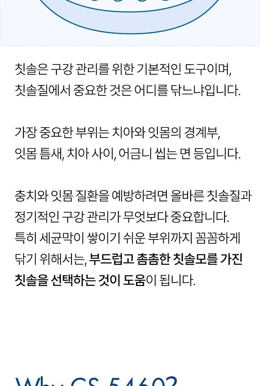 큐라덴 큐라프록스 CS5460 칫솔 상세페이지 4