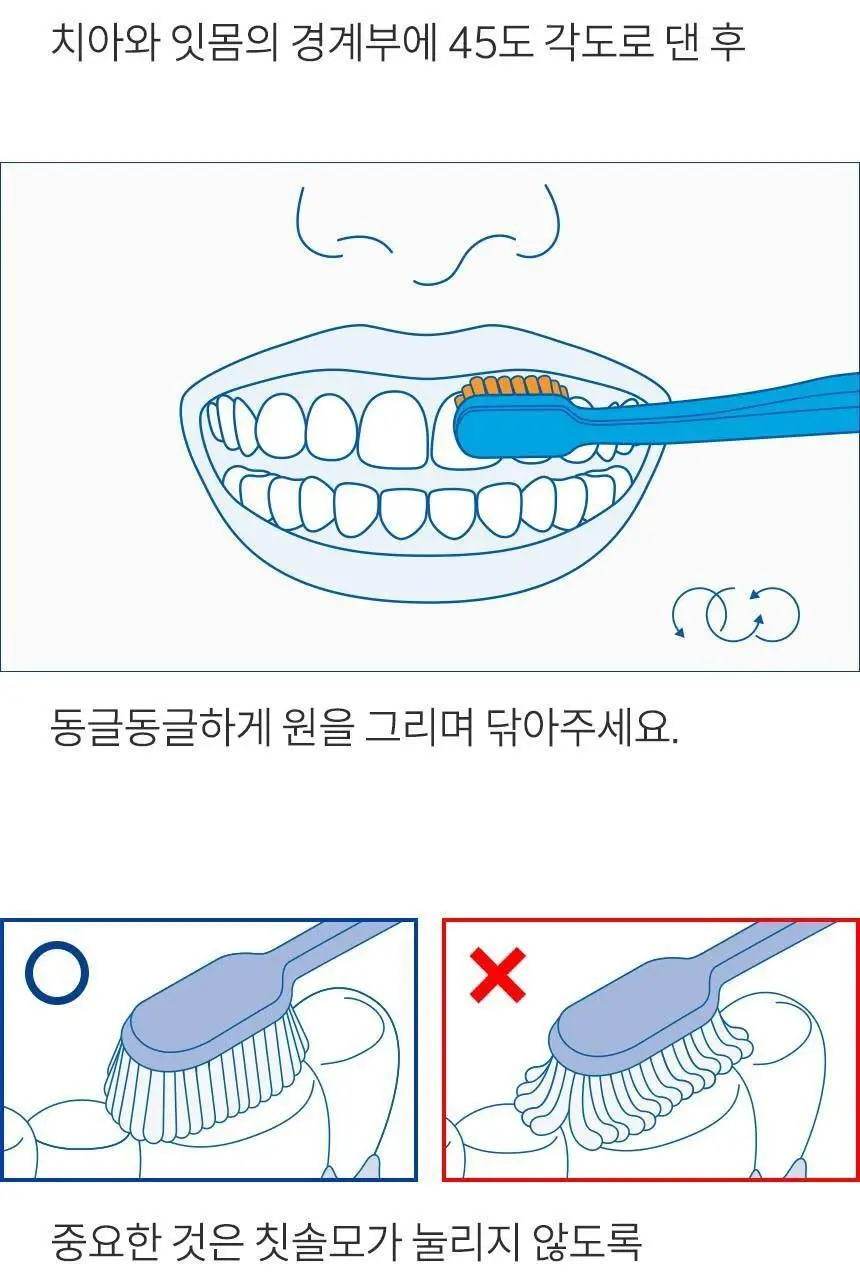 큐라덴 큐라프록스 CS5460 칫솔 상세페이지 20
