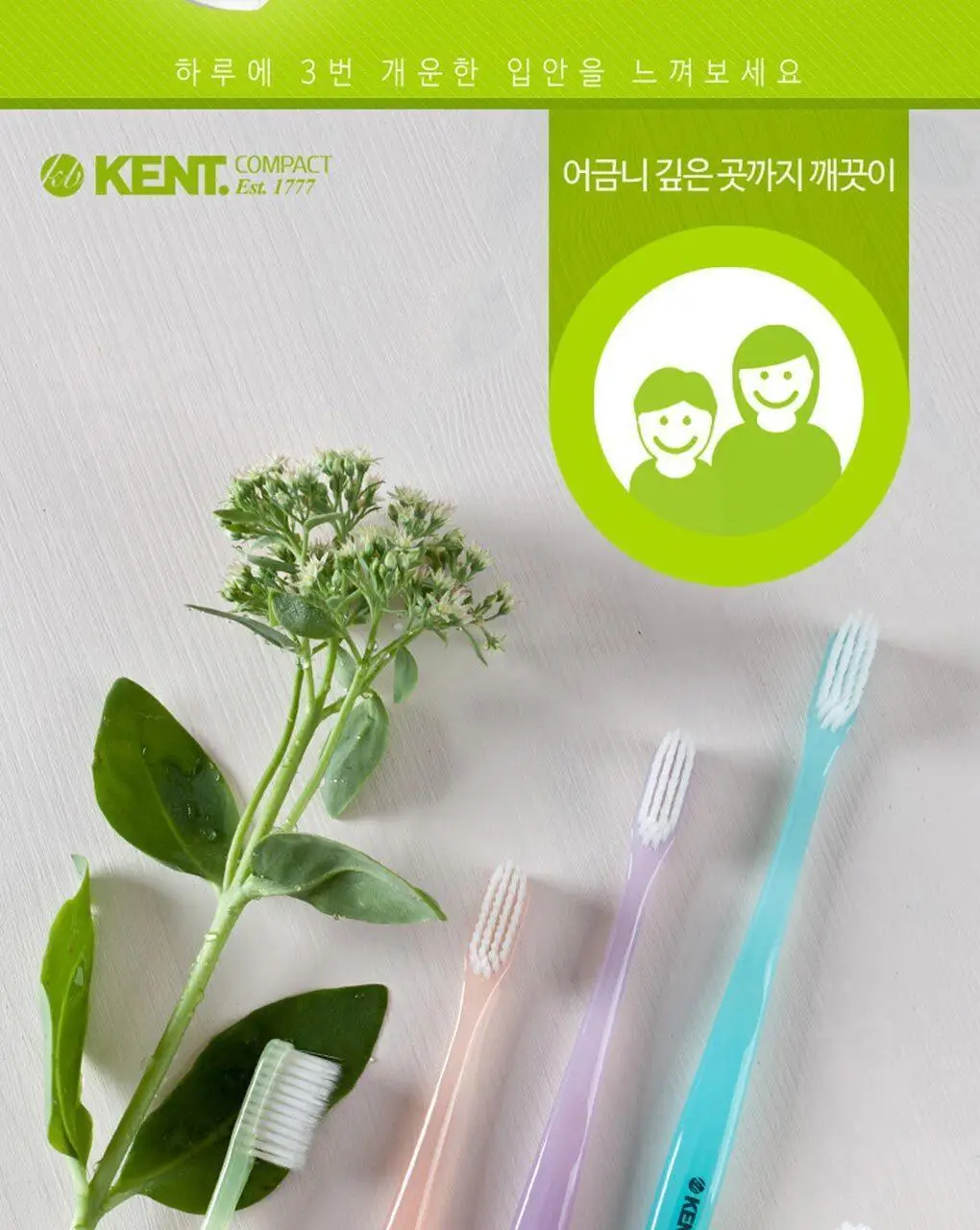 KENT 컴팩트 초극세모 칫솔 6개입 기획 상세페이지 3