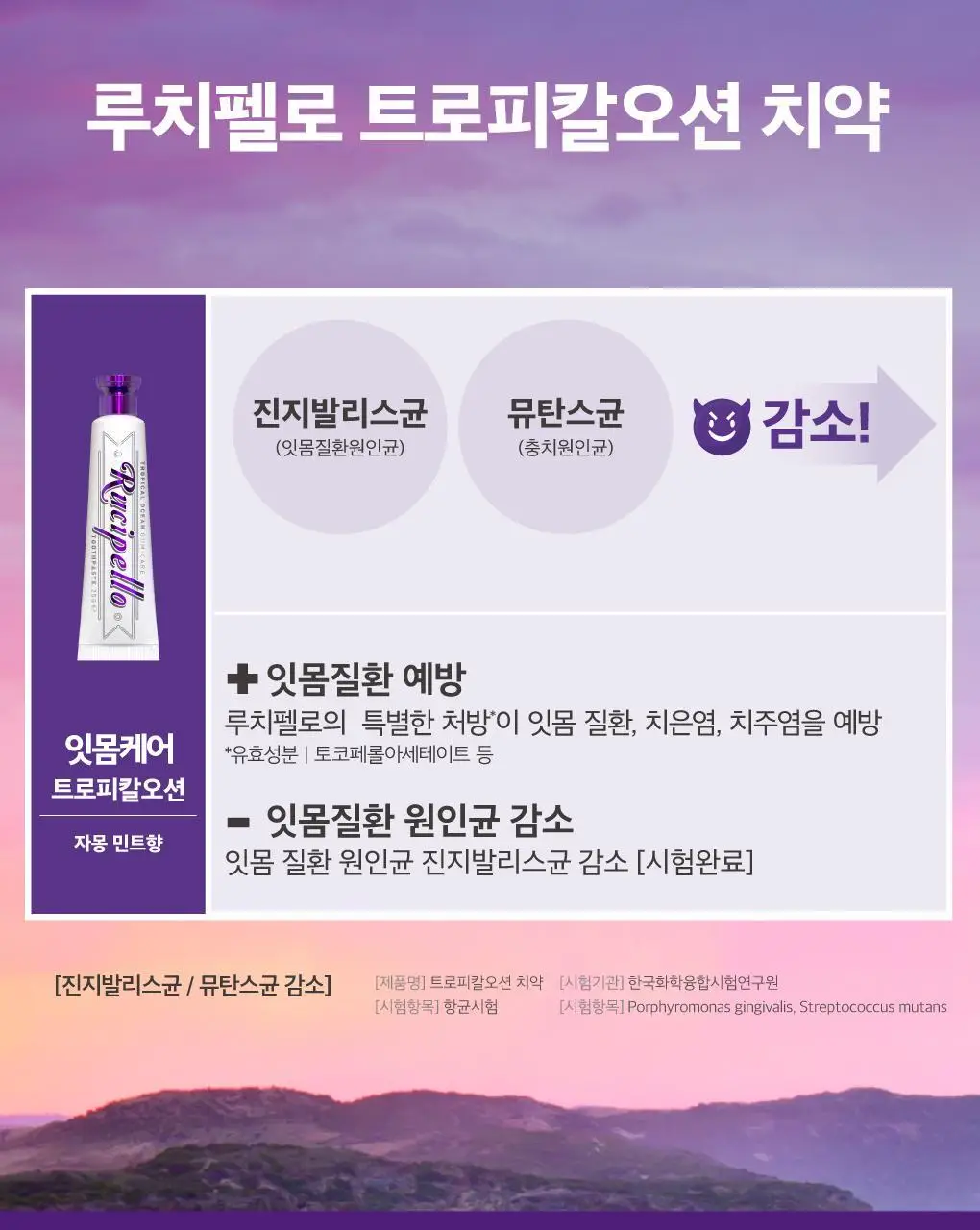 루치펠로 휴대용 치약 칫솔 세트 2종 택1 상세페이지 12