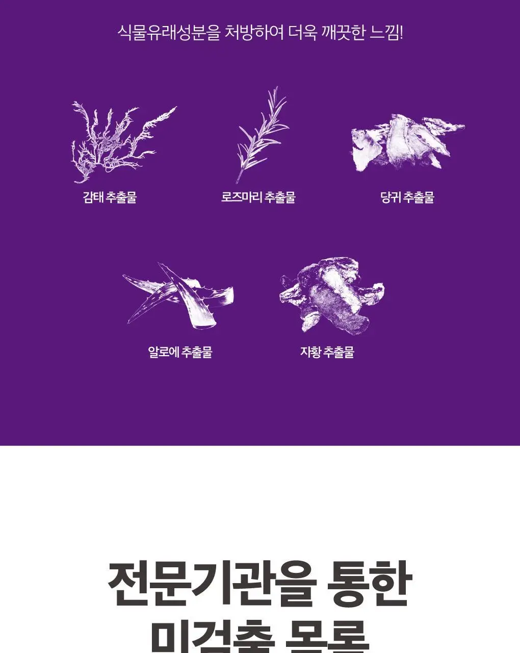 루치펠로 휴대용 치약 칫솔 세트 2종 택1 상세페이지 16