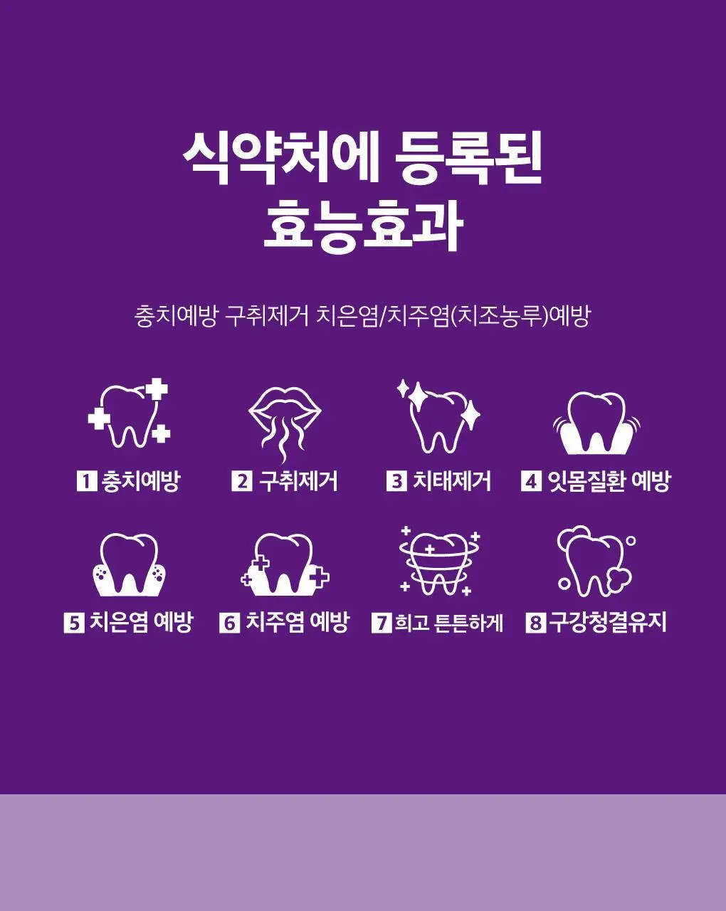 루치펠로 휴대용 치약 칫솔 세트 2종 택1 상세페이지 18