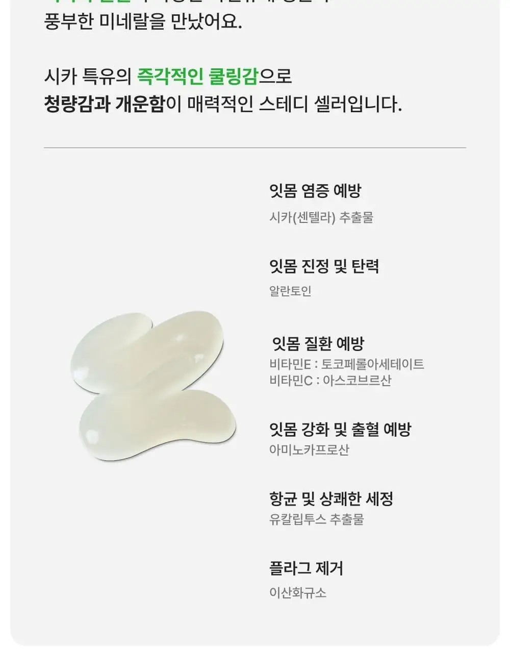 솔트레인 트래블 키트 그린 상세페이지 6