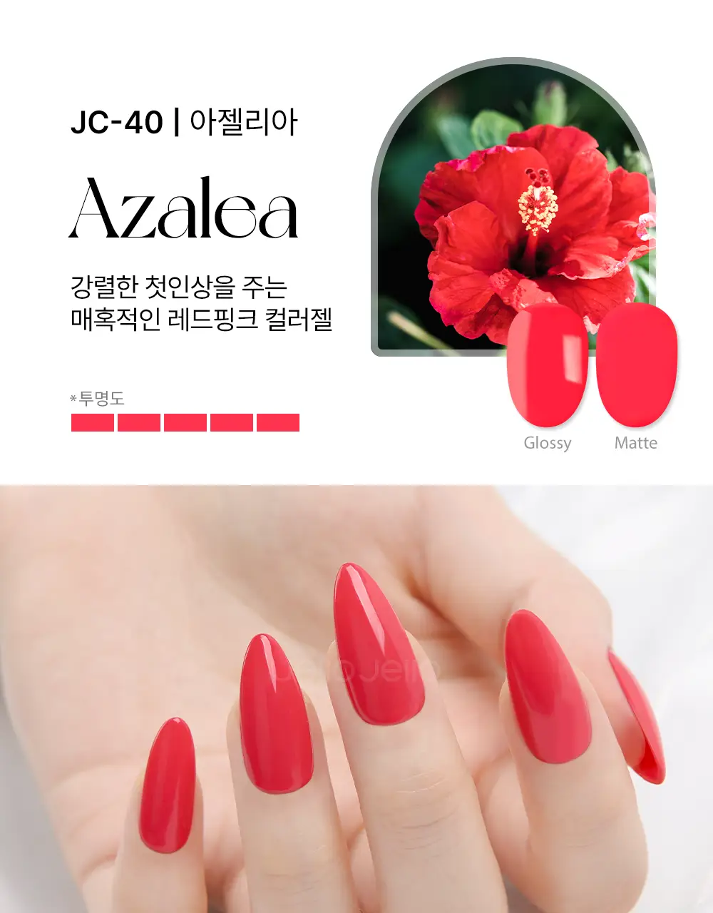 젤로젤로 셀프젤네일 프리미엄 시럽 네온중 택 상세페이지 81