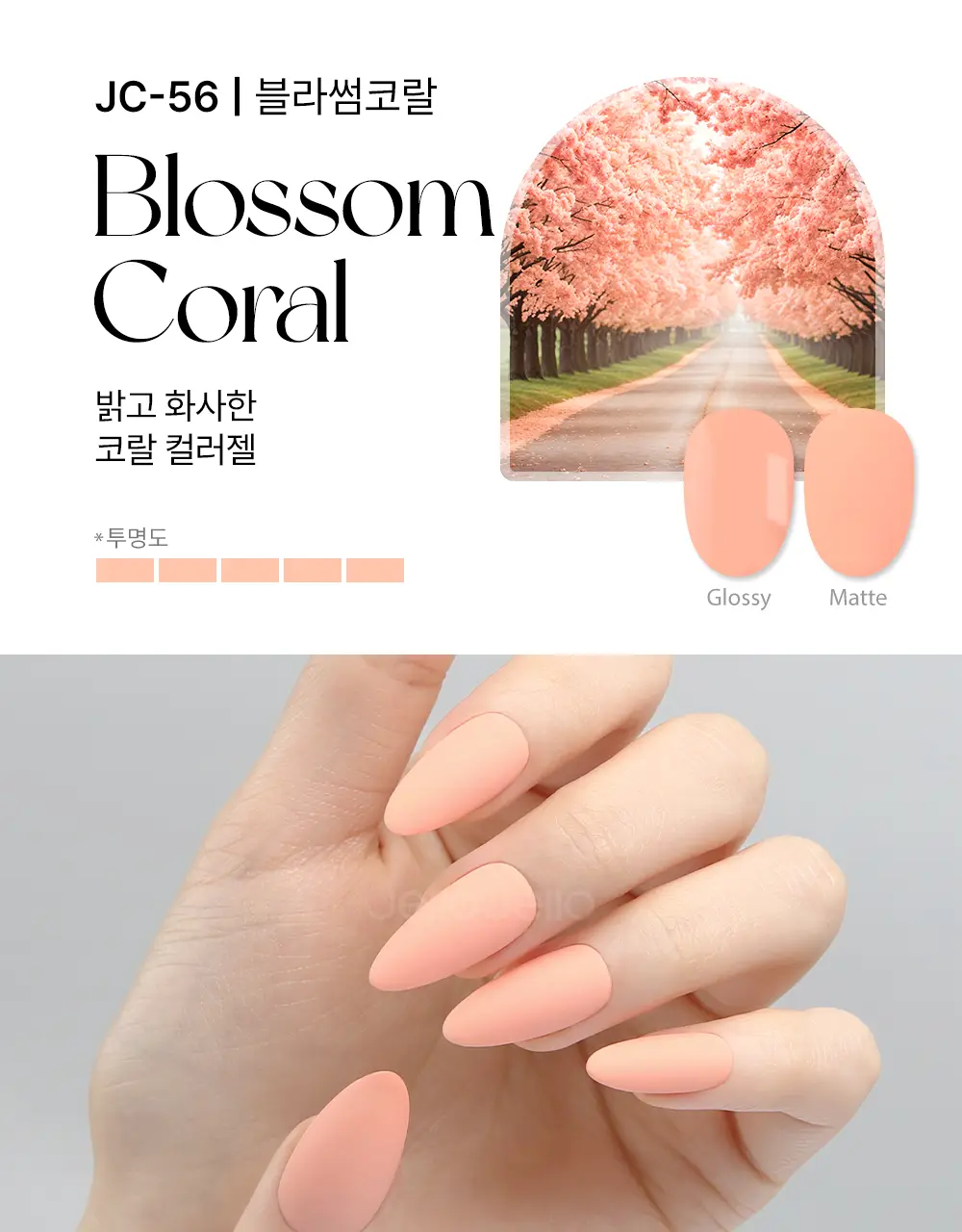 젤로젤로 셀프젤네일 프리미엄 시럽 네온중 택 상세페이지 113