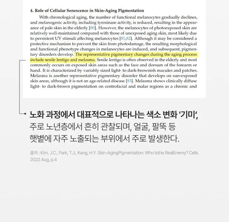이지듀 멜라 비 토닝 앰플 글로우 겔 마스크 30g 4매 상세페이지 7