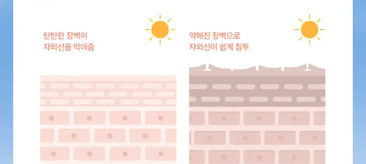 에스트라 더마UV365 비타C 광채수분 선크림 40ml 상세페이지 2