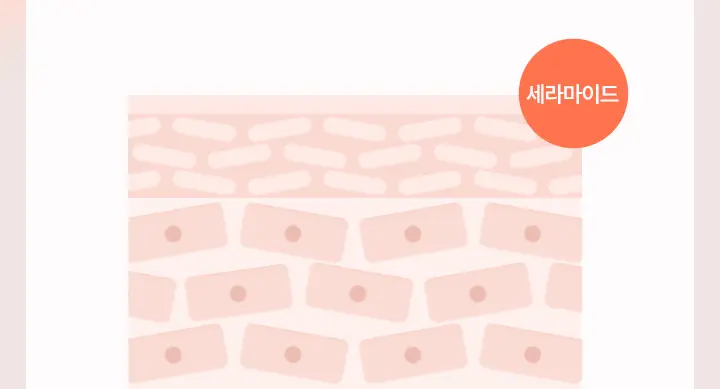 에스트라 더마UV365 비타C 광채수분 선크림 40ml 상세페이지 4