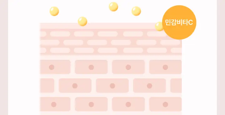 에스트라 더마UV365 비타C 광채수분 선크림 40ml 상세페이지 6