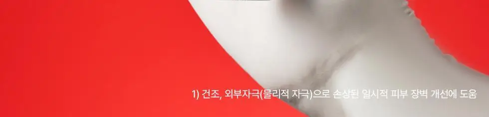에르쯔틴 리제너레이티브 실트 크림 50g 상세페이지 4