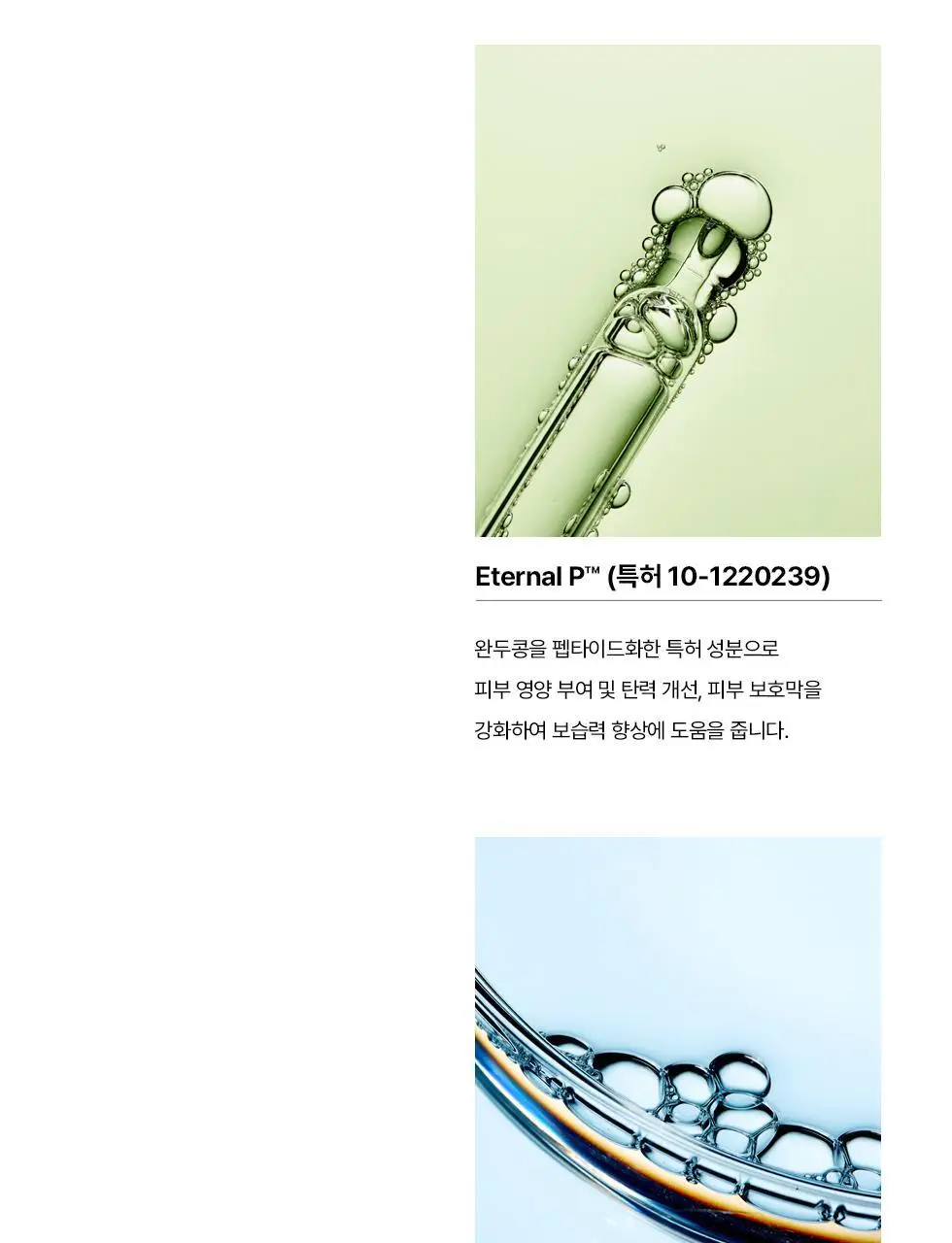 에르쯔틴 리제너레이티브 실트 크림 50g 상세페이지 31