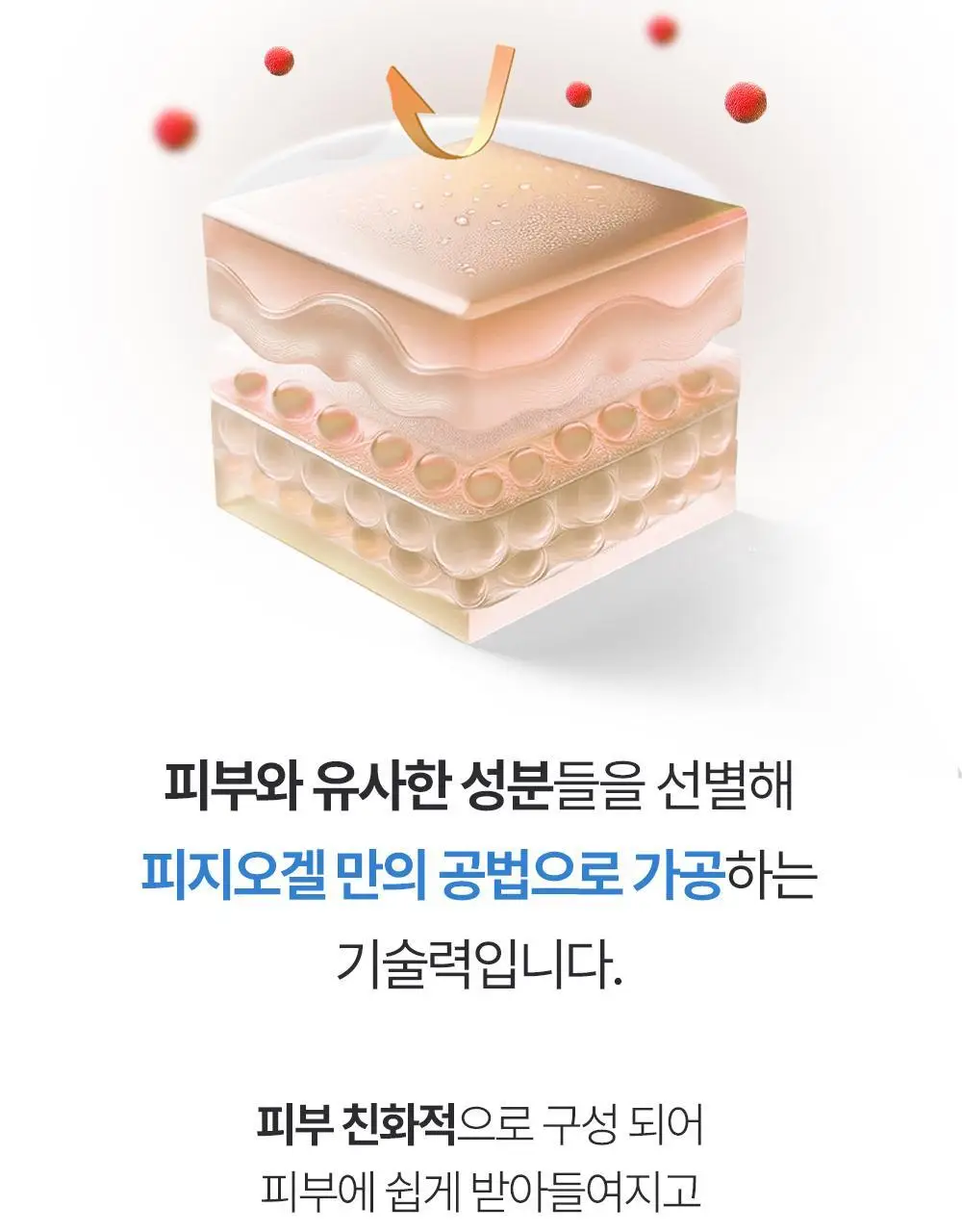 피지오겔 DMT 페이셜 로션 200ml 기획 (+로션 50ml) 상세페이지 14