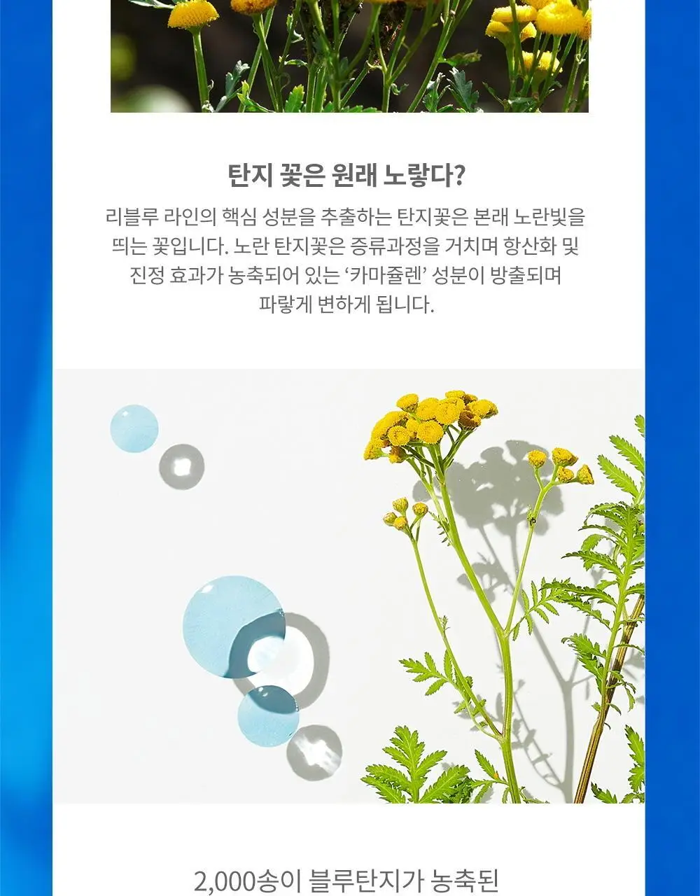 케어놀로지 리블루 나이트 페이셜 오일 50ml 상세페이지 13