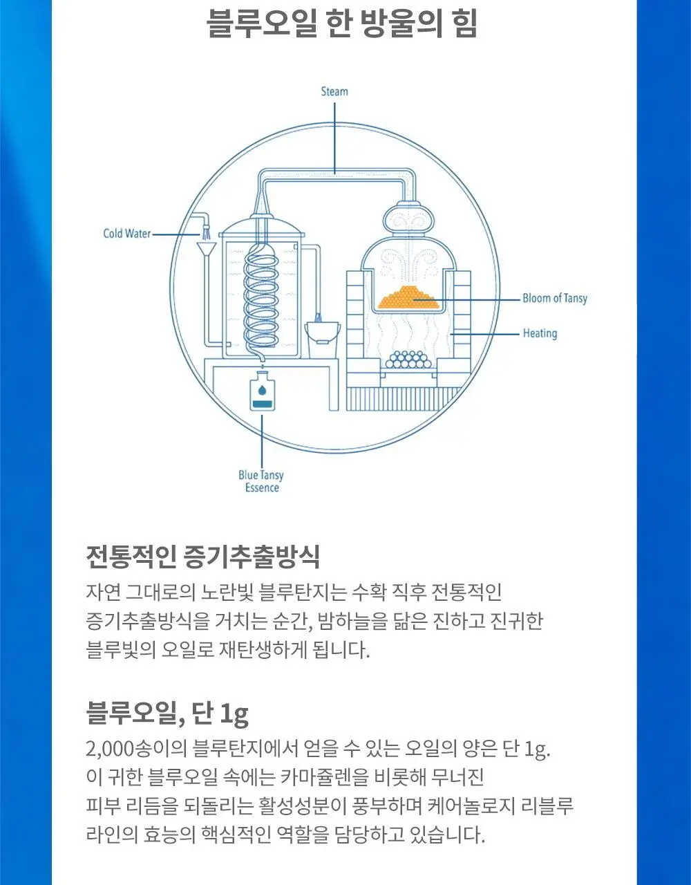 케어놀로지 리블루 나이트 페이셜 오일 50ml 상세페이지 14