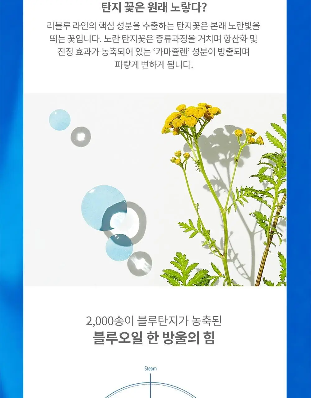 케어놀로지 리블루 나이트 페이셜 오일 50ml 상세페이지 16