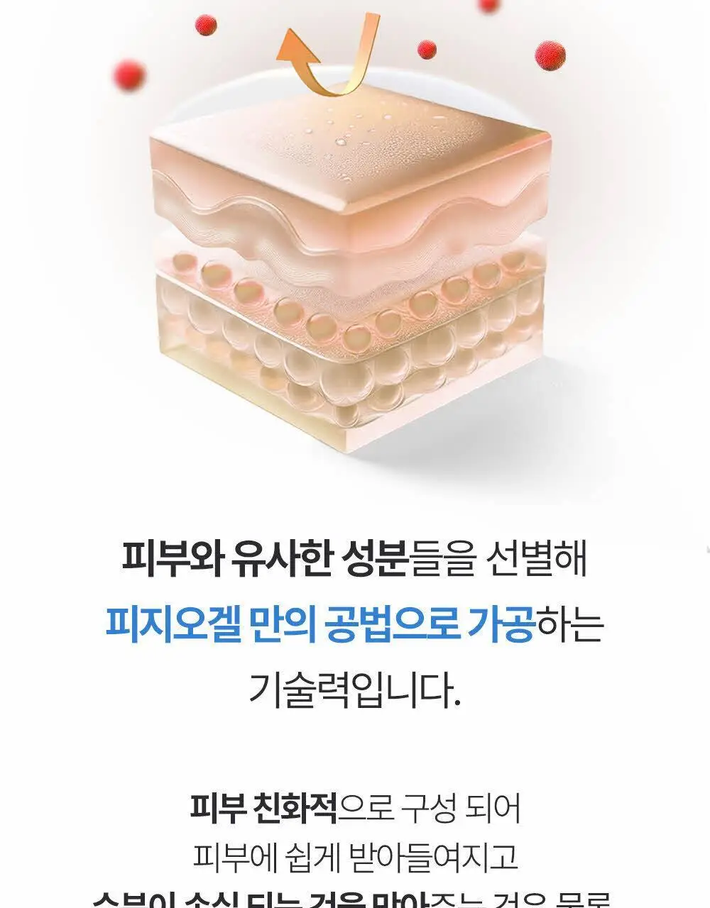 피지오겔 DMT 에센스 인 토너 200ml (+토너 50ml) 상세페이지 13