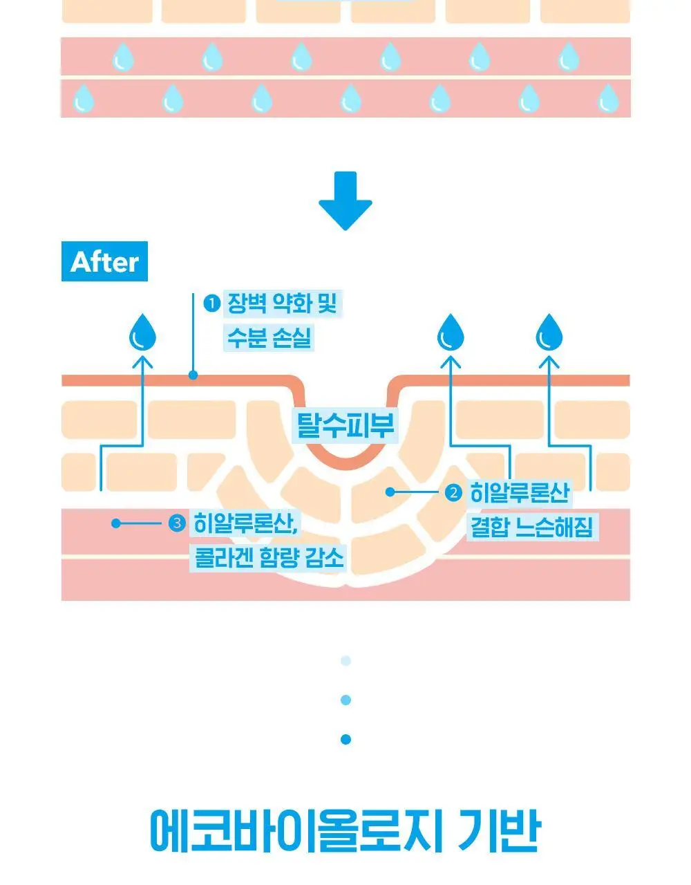 바이오더마 하이드라비오 히알루+ 세럼 30ml 상세페이지 6