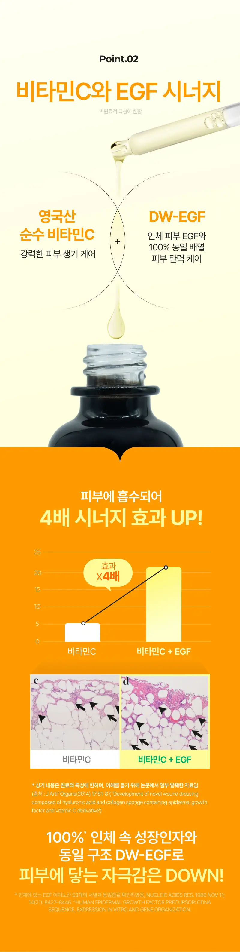 이지듀 DW-EGF 비타민C 부스팅 앰플25 13g 기획(+기미 크림*2매 증정) 상세페이지 15