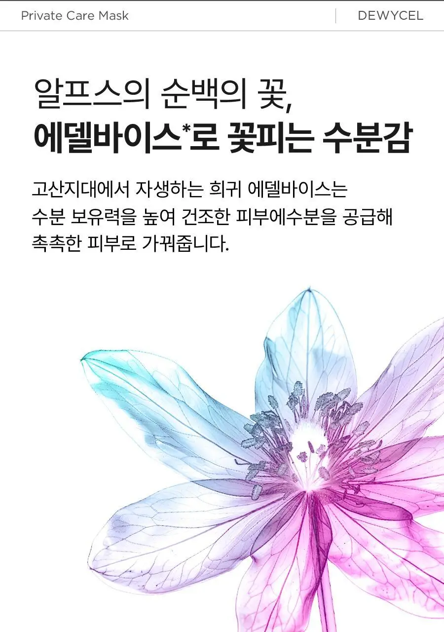 듀이셀 프라이빗 케어 마스크팩 5매 상세페이지 19