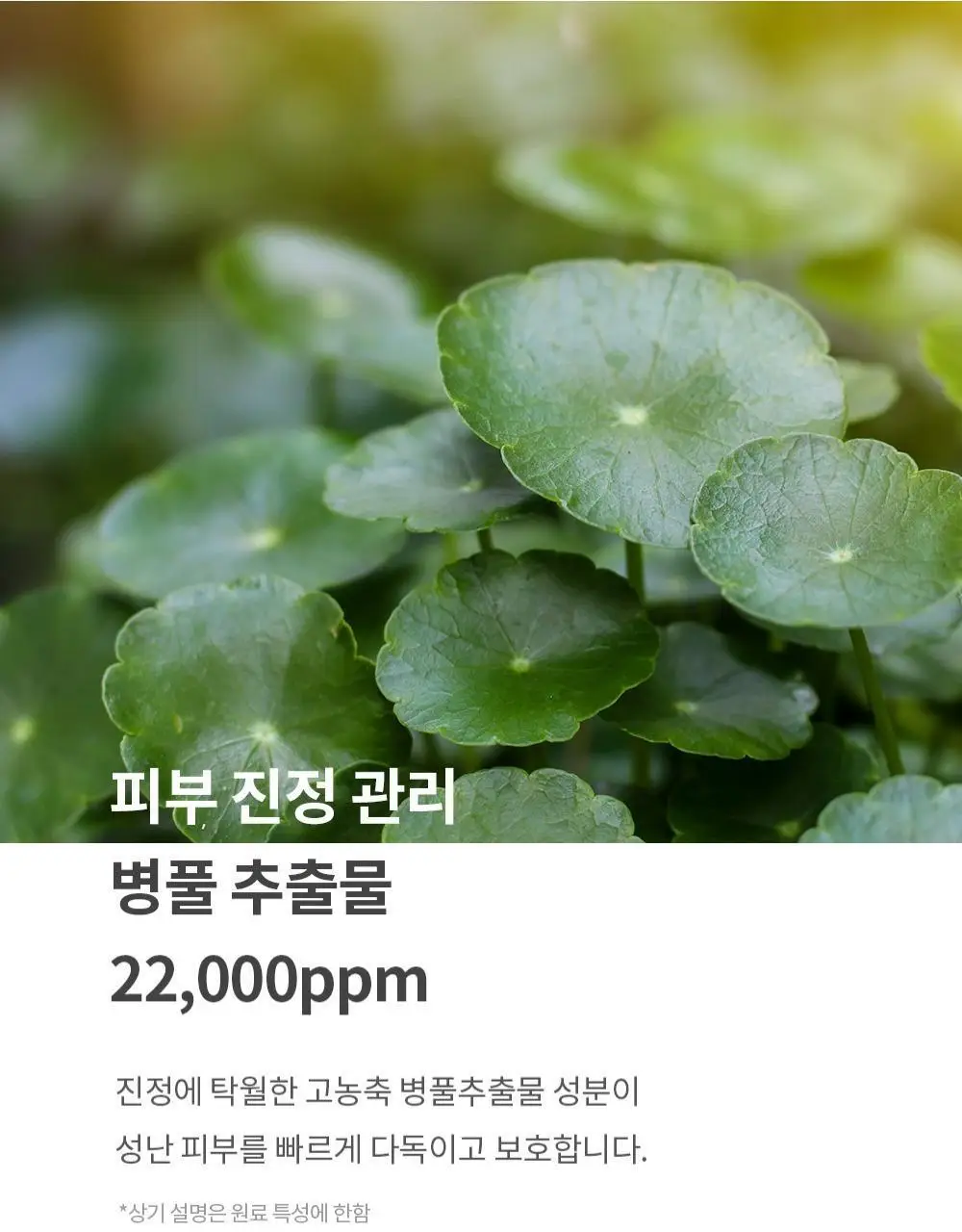 믹순 병풀 마스크팩 1매입 상세페이지 7