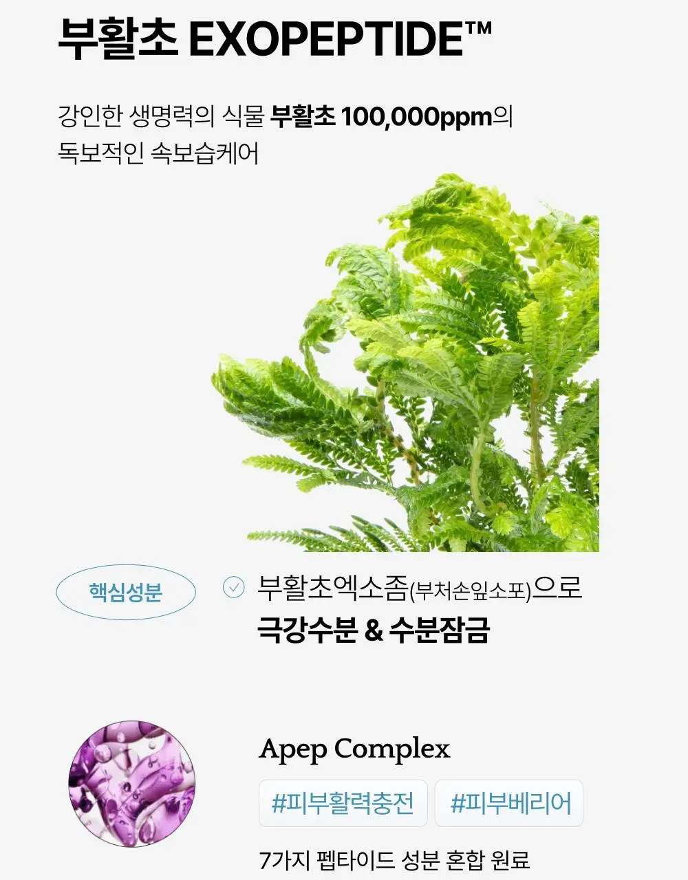 브리스킨 부활초 엑소펩타이드 콜라겐 마스크 1매 상세페이지 21