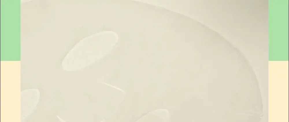 비플레인 시카풀 카밍 마스크 1매 상세페이지 12