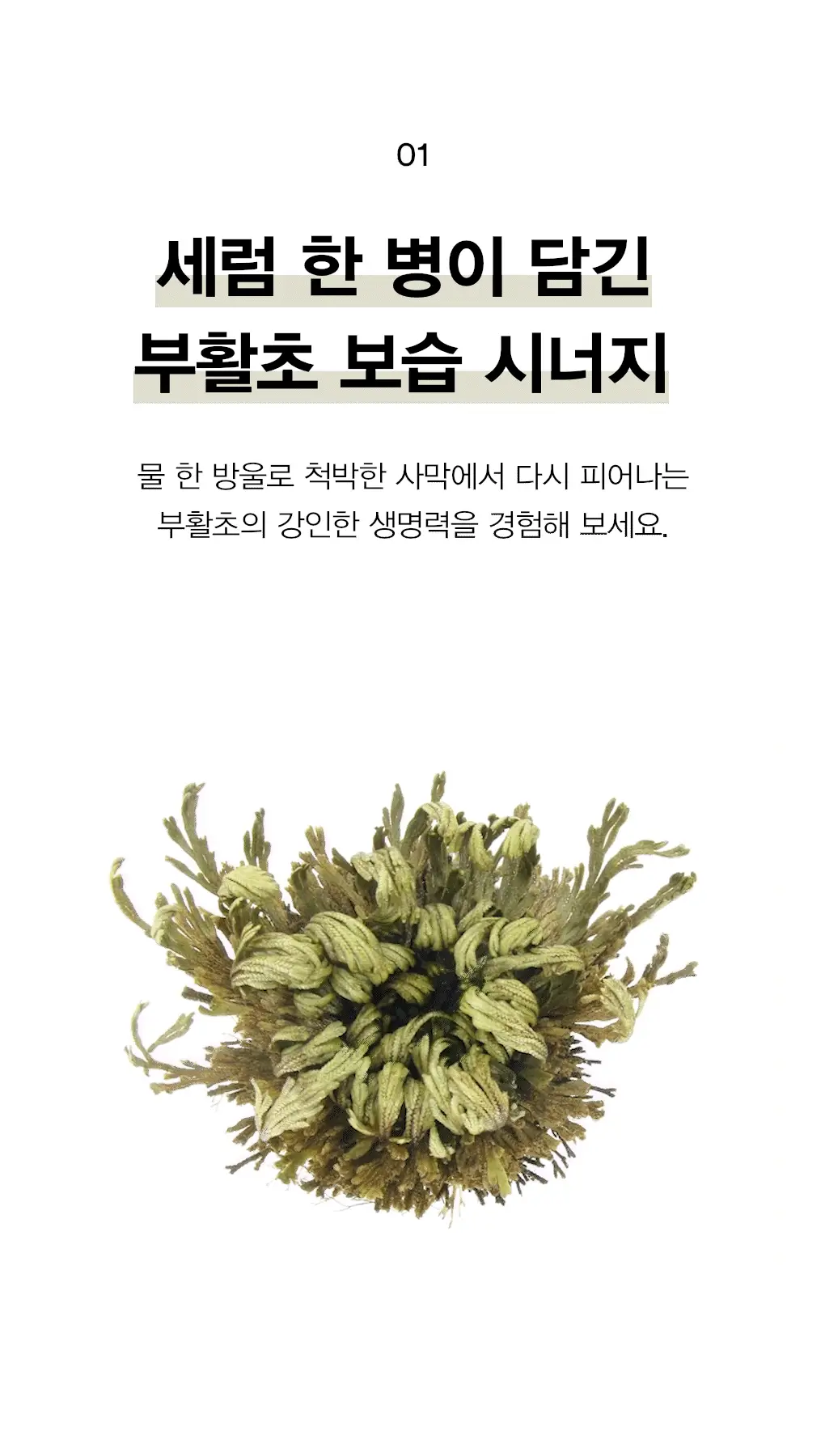 아비브 약산성 pH시트 마스크 부활초 핏 20매 상세페이지 10