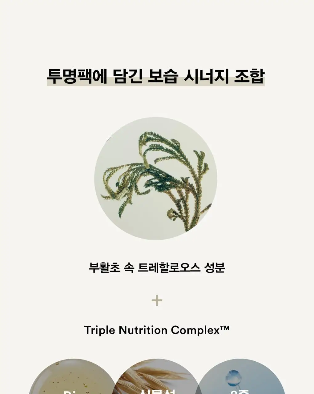 아비브 약산성 pH시트 마스크 부활초 핏 20매 상세페이지 13