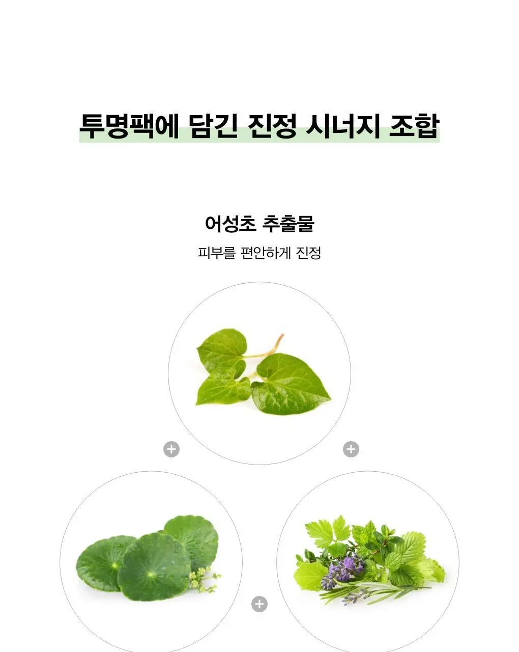 아비브 약산성 pH시트 마스크 어성초 핏 20매 상세페이지 12