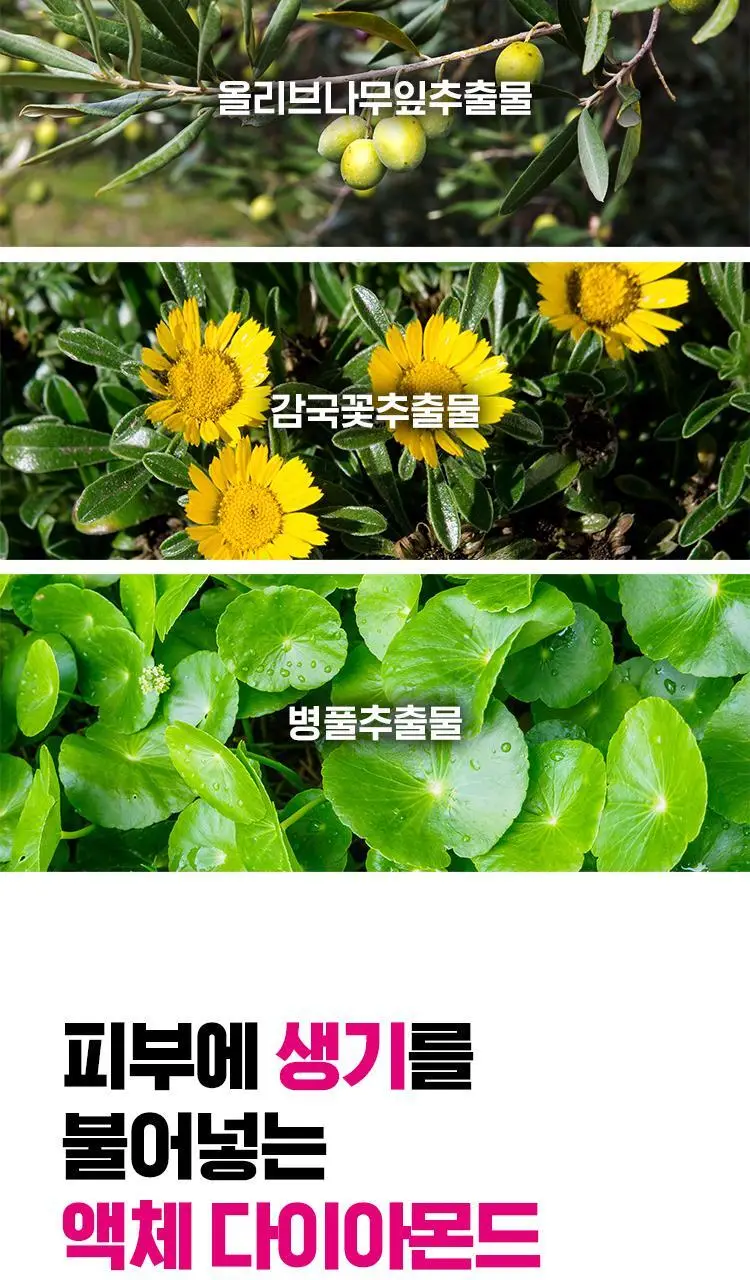 아이소이 에센셜 마스크팩 3+1매 3종 택 1 (잡티 / 진정 / 수분) 상세페이지 6