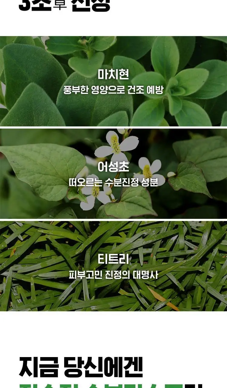 아이소이 에센셜 마스크팩 3+1매 3종 택 1 (잡티 / 진정 / 수분) 상세페이지 23